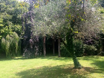 Villa Abbamer,Grottaferrata>>Frascati,3 star