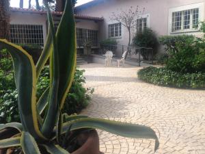 villa abbamer