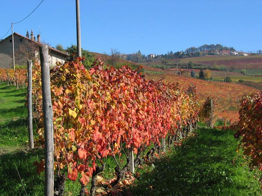 barolo