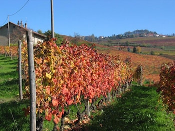 barolo