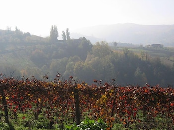 barolo