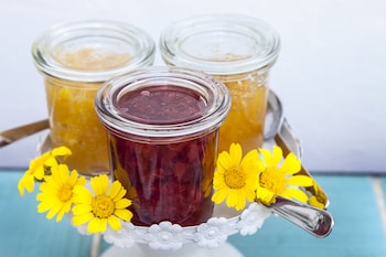 castrignano del capo