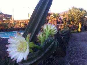 la kuddia
