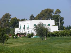 golf club metaponto