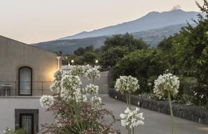 piedimonte etneo