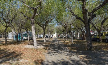 club del sole riccione easy camping village