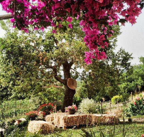 agriturismo i moresani