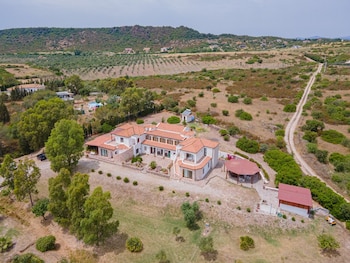las palmas