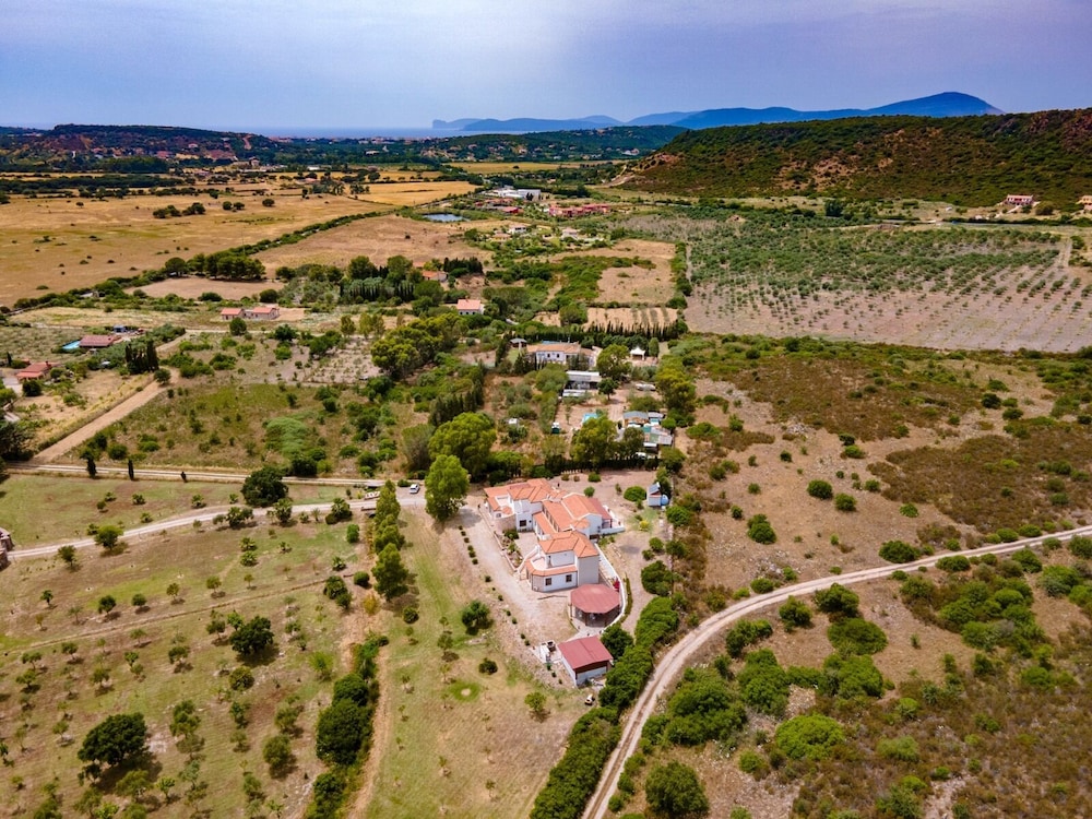 las palmas