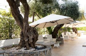 hotel parthenius
