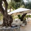 hotel parthenius