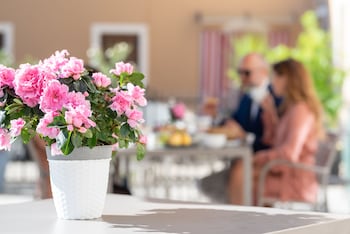 villa di cazzano bioluxury living