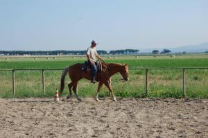 agriturismo gli etruschi