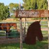agriturismo gli etruschi
