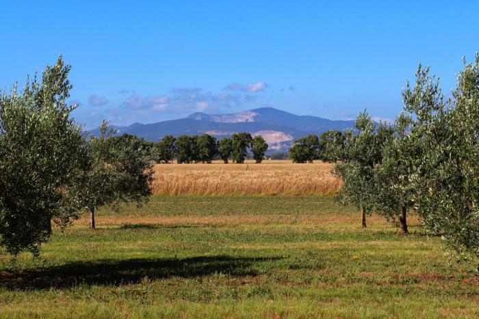agriturismo gli etruschi