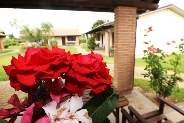agriturismo gli etruschi