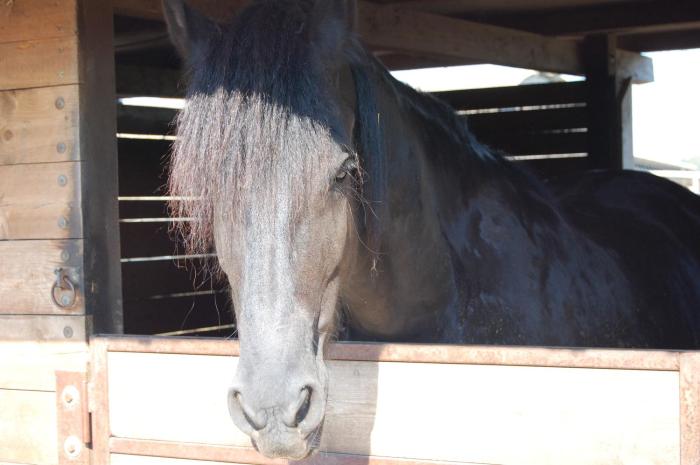 agriturismo gli etruschi