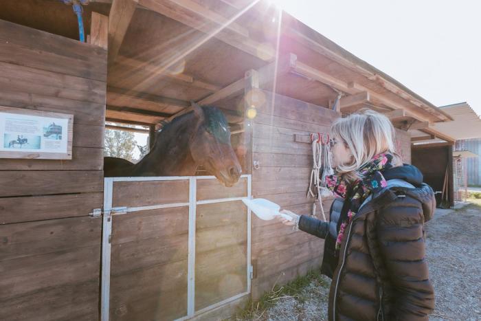 agriturismo gli etruschi