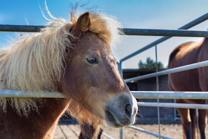 agriturismo gli etruschi
