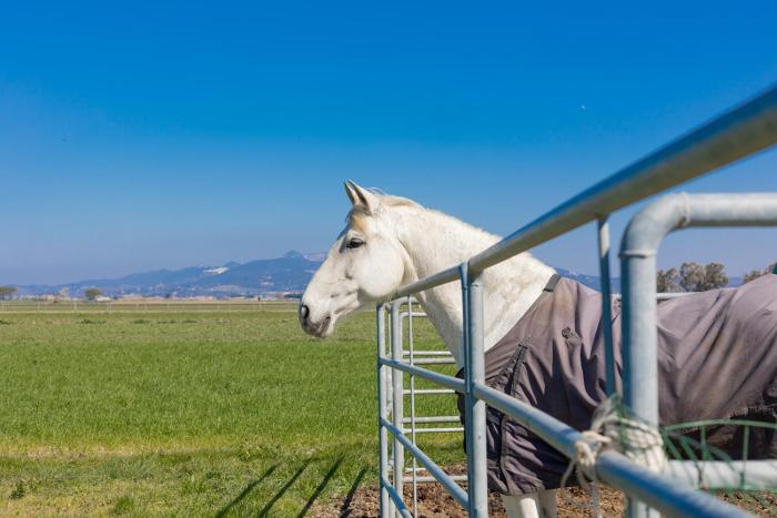 agriturismo gli etruschi