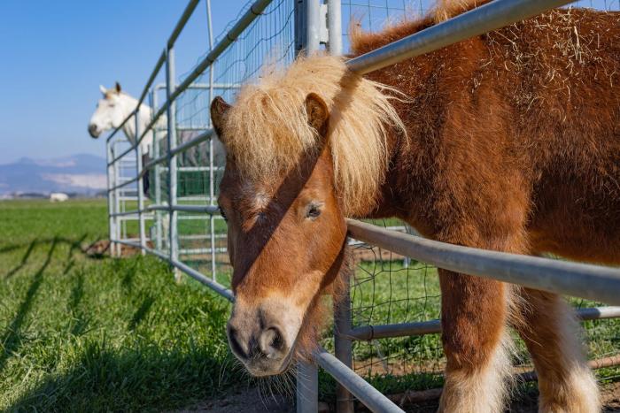 agriturismo gli etruschi