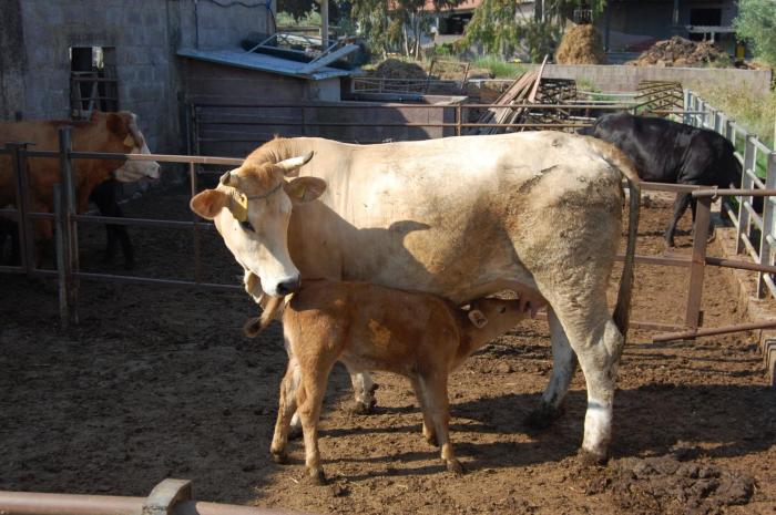 agriturismo gli etruschi