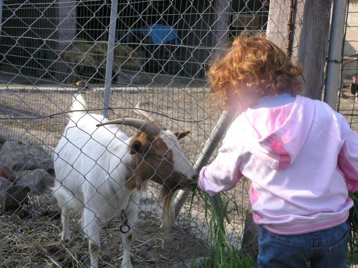 agriturismo gli etruschi