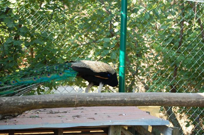 agriturismo gli etruschi