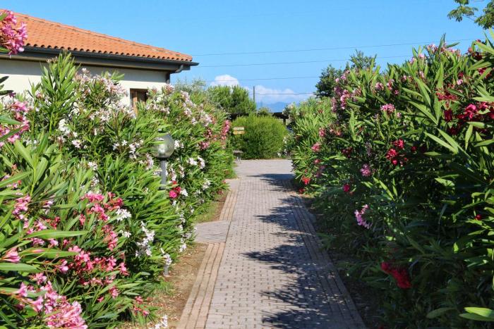 agriturismo gli etruschi