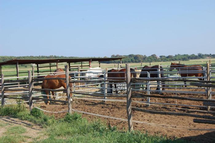 agriturismo gli etruschi