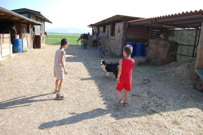 agriturismo gli etruschi