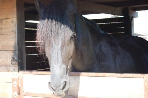 agriturismo gli etruschi