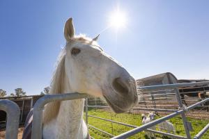agriturismo gli etruschi