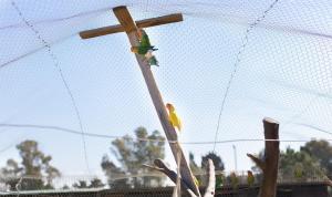 agriturismo gli etruschi