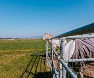 agriturismo gli etruschi