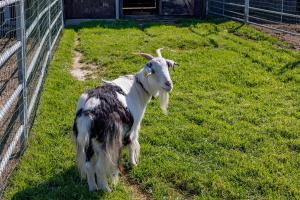 agriturismo gli etruschi