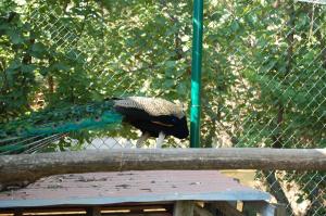 agriturismo gli etruschi