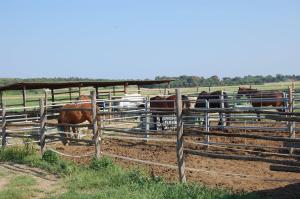 agriturismo gli etruschi