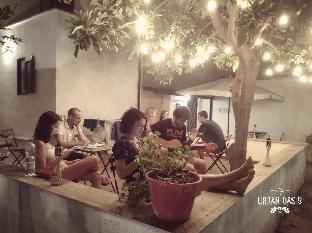 urban oasis hostel adults only