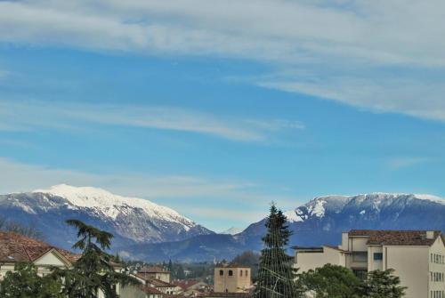 conegliano