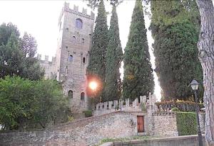 conegliano