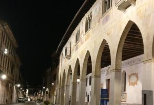 conegliano