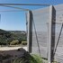 osilo