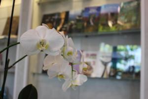Hotel Altavilla Catanzaro,Catanzaro>>Calabria,4 star