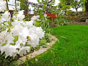 B&B Dimora Morelli,Perugia>>Gubbio,3 star