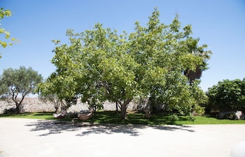 don agostino relais masseria