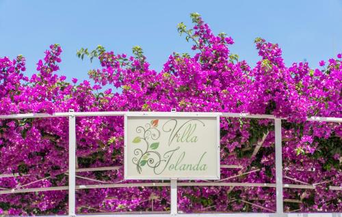 villa iolanda