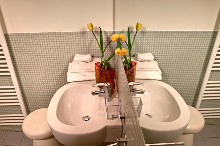 il vicolo aparthotel verona