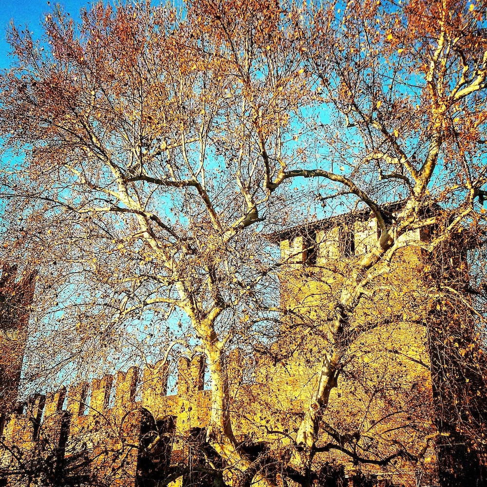 casa fola city centre rooms