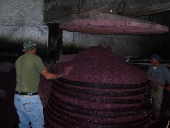 castiglione di sicilia